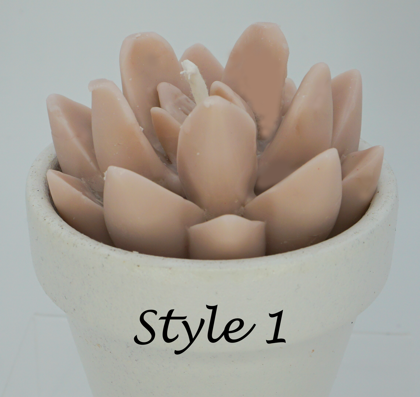 Design Your Own Plant Baby - Candle Insert