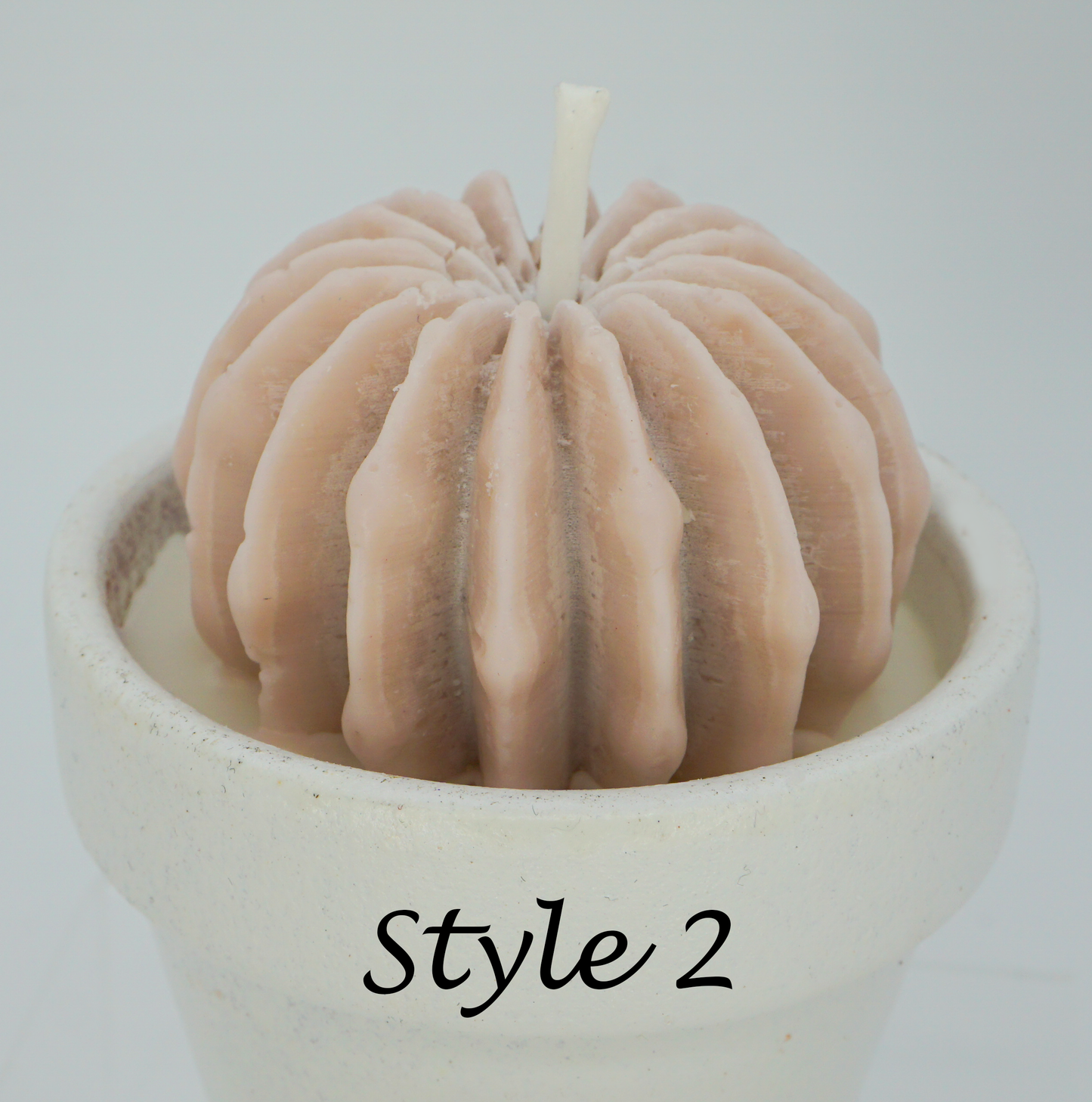 Design Your Own Plant Baby - Candle Insert