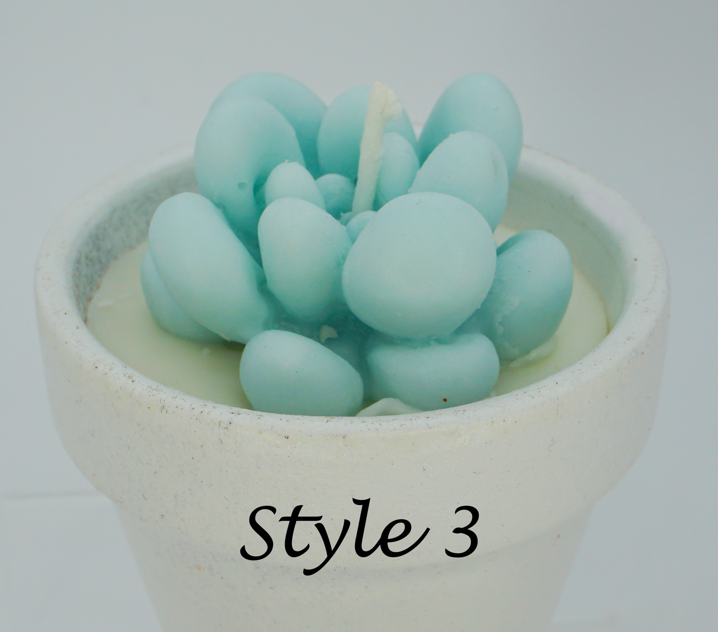 Design Your Own Plant Baby - Candle Insert